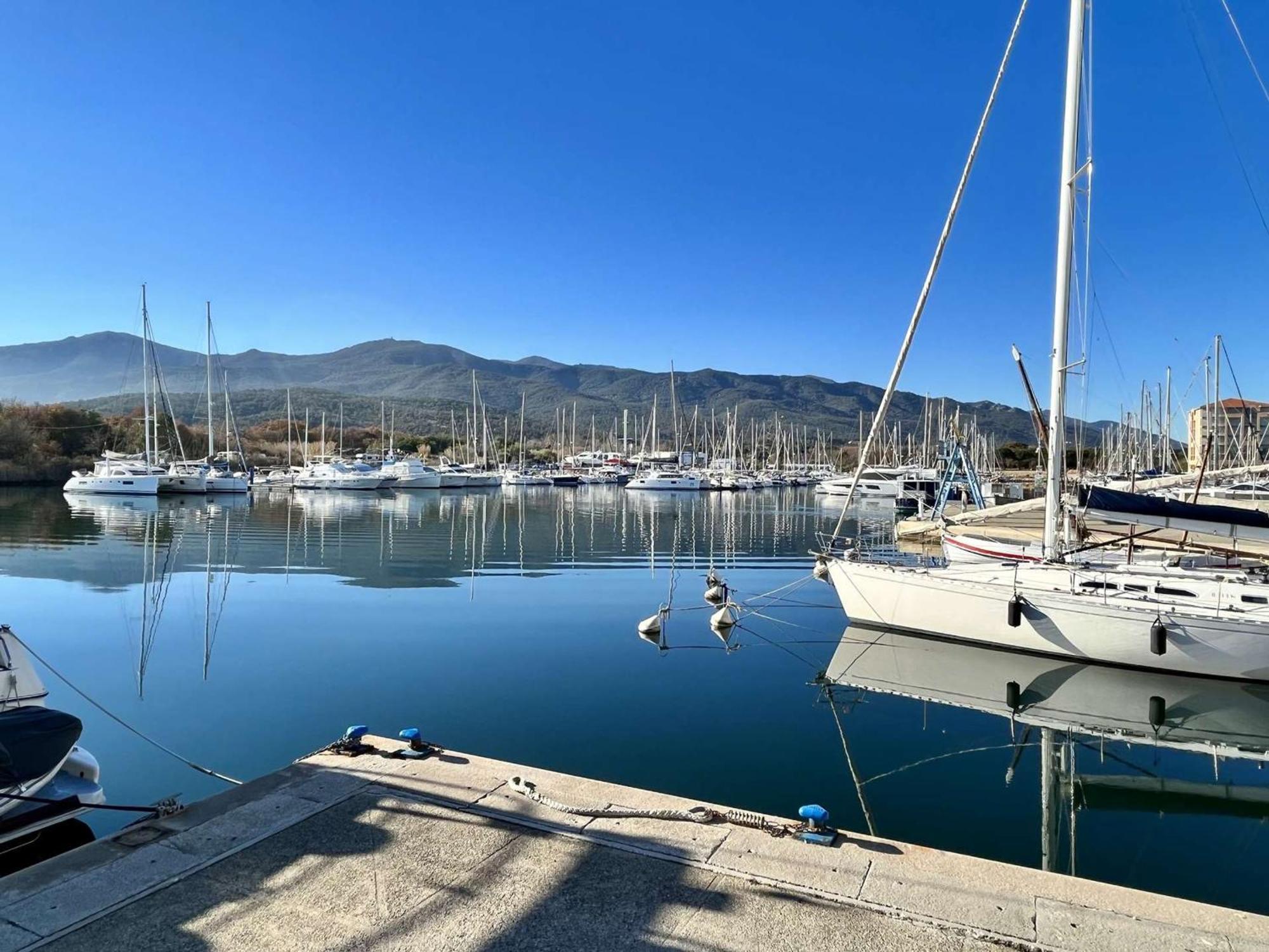 Appartement 3 Pieces Avec Terrasse Et Jardin, Proche Plage Et Commerces, 2 Parkings, Argeles-Sur-Mer - Fr-1-225-773 Exterior foto